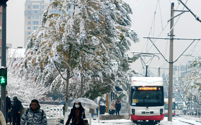 “邂逅”初雪 吉林省长春市今冬第一场雪如约而至